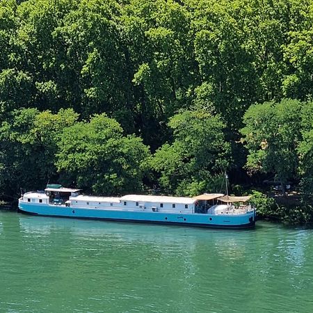 Peniche Althea Bed & Breakfast Avignon Luaran gambar